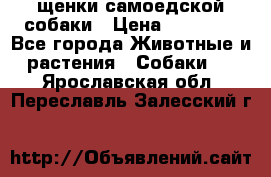 щенки самоедской собаки › Цена ­ 25 000 - Все города Животные и растения » Собаки   . Ярославская обл.,Переславль-Залесский г.